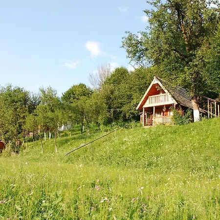 Pensiunea La Gorgan *